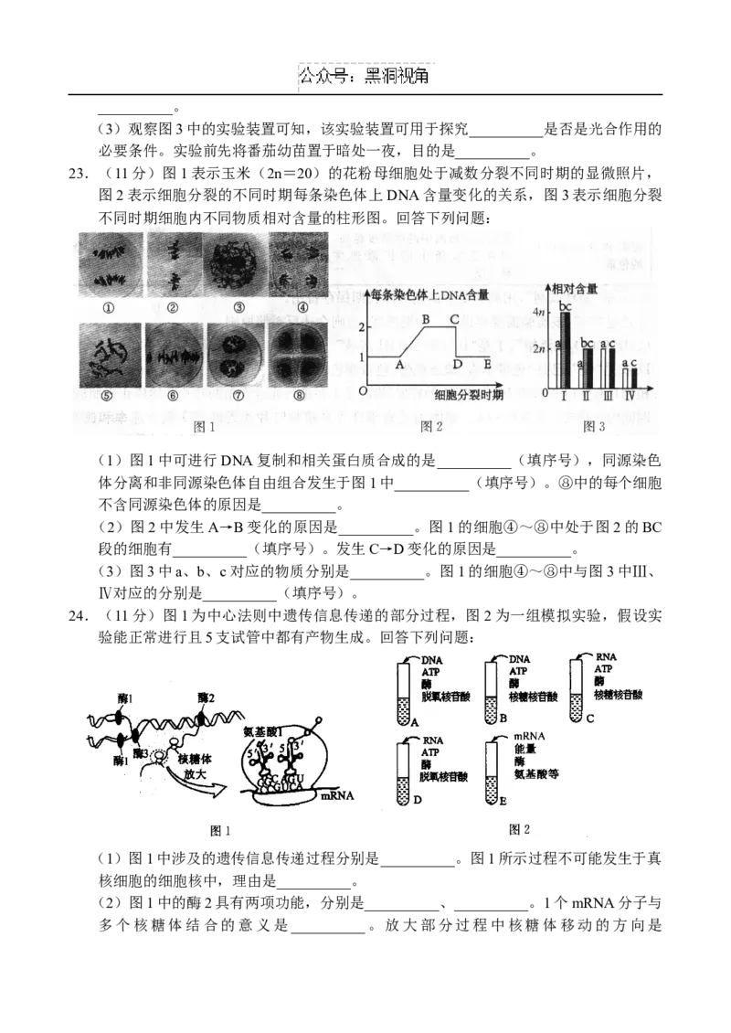 生物-副本_2024-2026高三（6-6月题库）_2024年10月试卷_1018河南省新高中创新联盟TOP二十名校2024-2025学年高三上学期10月调研考试