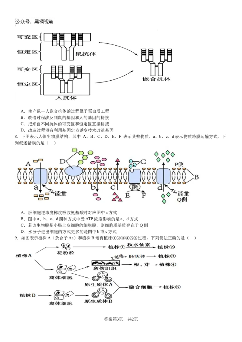 河南省安阳市林州市第一中学2024-2025学年高三上学期8月月考生物试题+答案_2024-2025高三（6-6月题库）_2024年09月试卷_0902河南省安阳市林州市第一中学2024-2025学年高三上学期8月月考