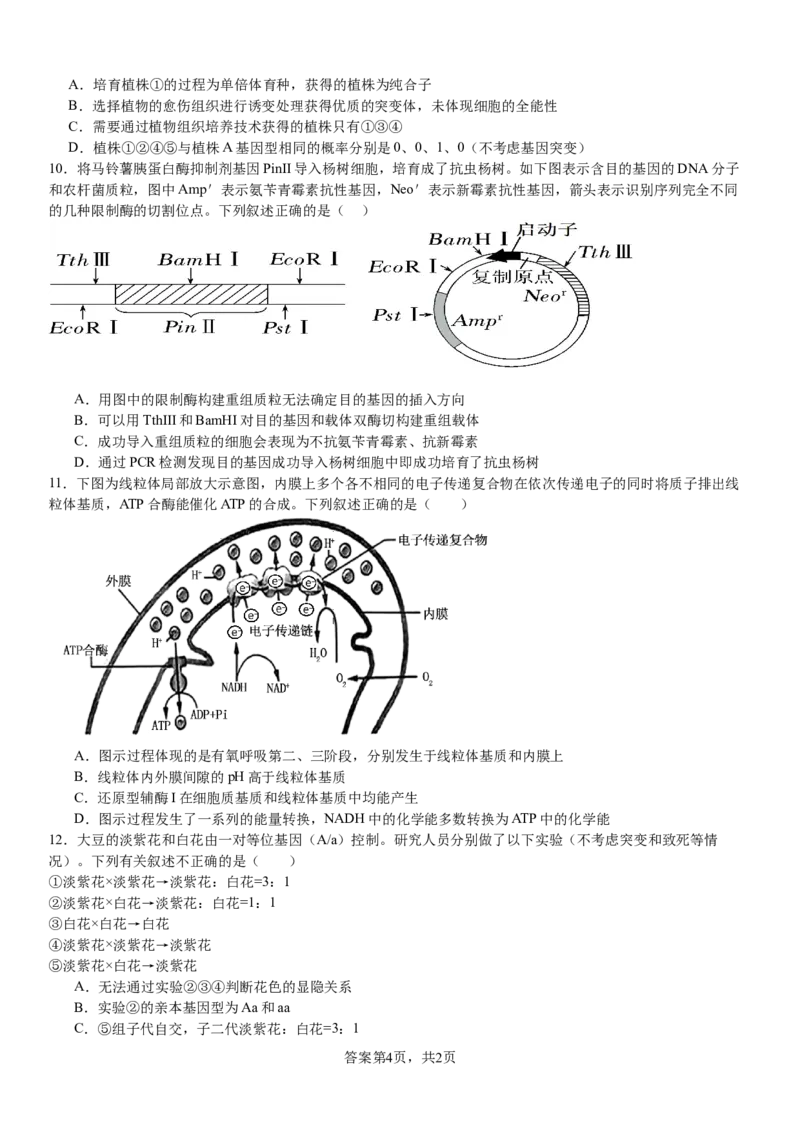 河南省安阳市林州市第一中学2024-2025学年高三上学期8月月考生物试题+答案_2024-2025高三（6-6月题库）_2024年09月试卷_0902河南省安阳市林州市第一中学2024-2025学年高三上学期8月月考