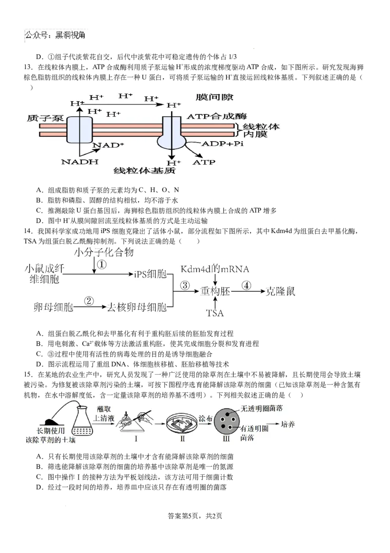 河南省安阳市林州市第一中学2024-2025学年高三上学期8月月考生物试题+答案_2024-2025高三（6-6月题库）_2024年09月试卷_0902河南省安阳市林州市第一中学2024-2025学年高三上学期8月月考
