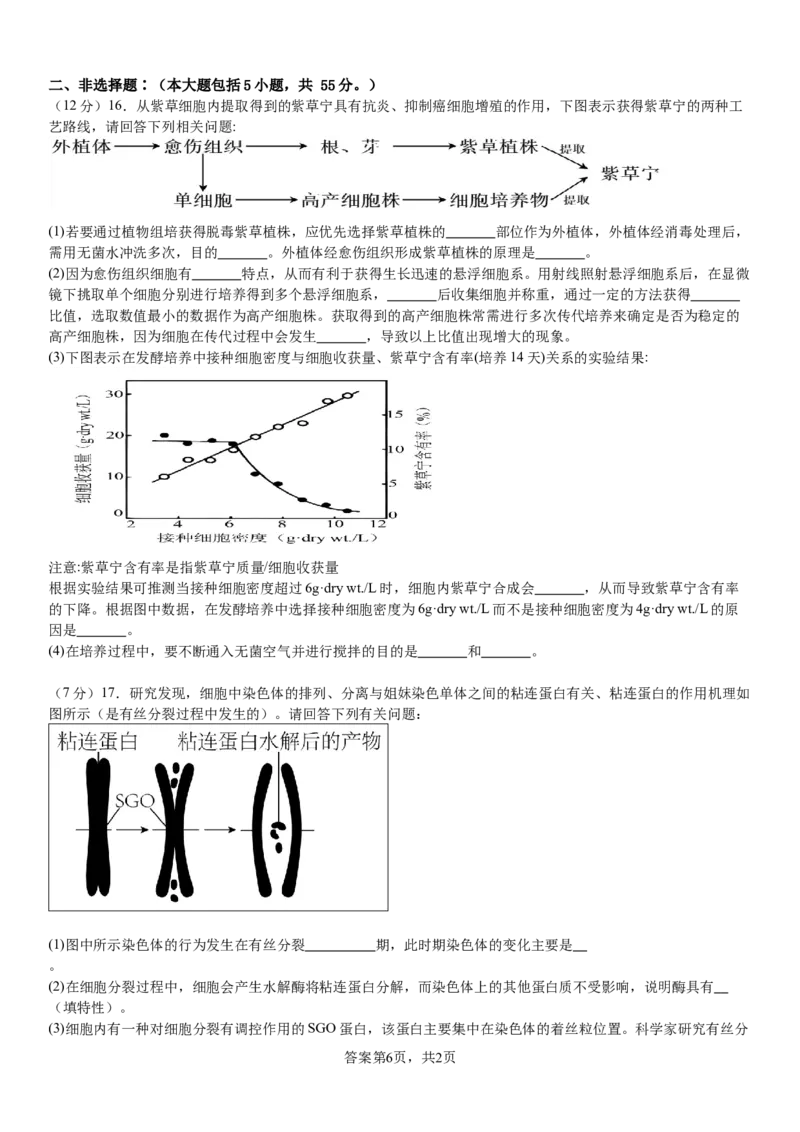 河南省安阳市林州市第一中学2024-2025学年高三上学期8月月考生物试题+答案_2024-2025高三（6-6月题库）_2024年09月试卷_0902河南省安阳市林州市第一中学2024-2025学年高三上学期8月月考