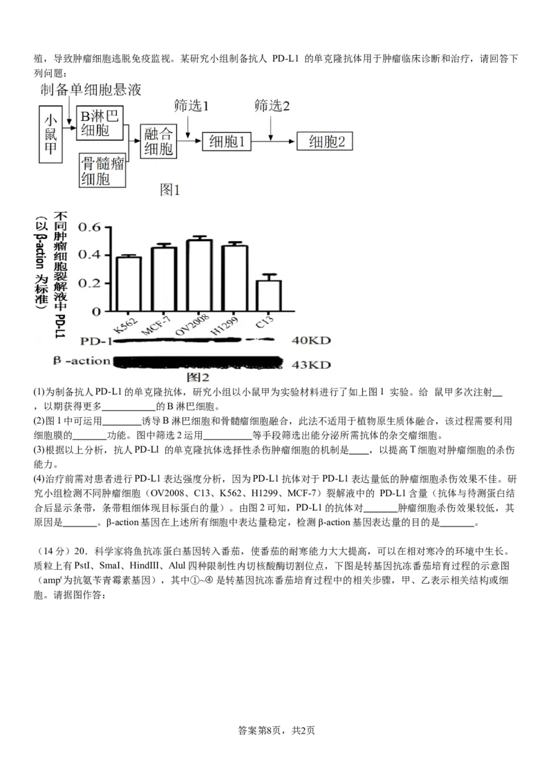 河南省安阳市林州市第一中学2024-2025学年高三上学期8月月考生物试题+答案_2024-2025高三（6-6月题库）_2024年09月试卷_0902河南省安阳市林州市第一中学2024-2025学年高三上学期8月月考