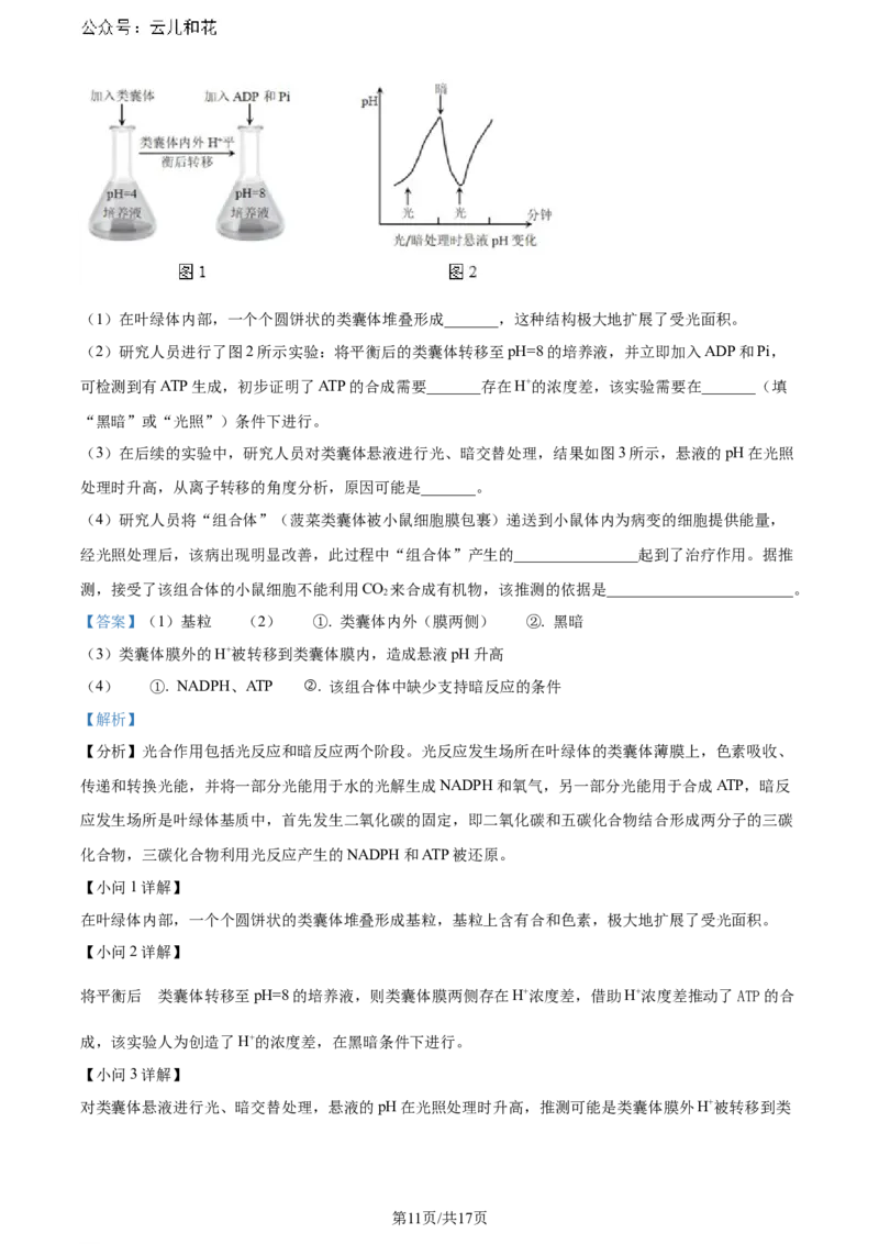 精品解析：广东省深圳市2023-2024学年高二下学期第一次调研考试生物试题（解析版）_2024-2025高二（7-7月题库）_2024年07月试卷_0711广东省深圳市2023-2024学年高二下学期7月期末调研考试