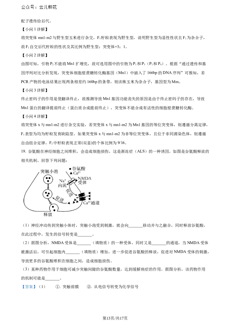 精品解析：广东省深圳市2023-2024学年高二下学期第一次调研考试生物试题（解析版）_2024-2025高二（7-7月题库）_2024年07月试卷_0711广东省深圳市2023-2024学年高二下学期7月期末调研考试