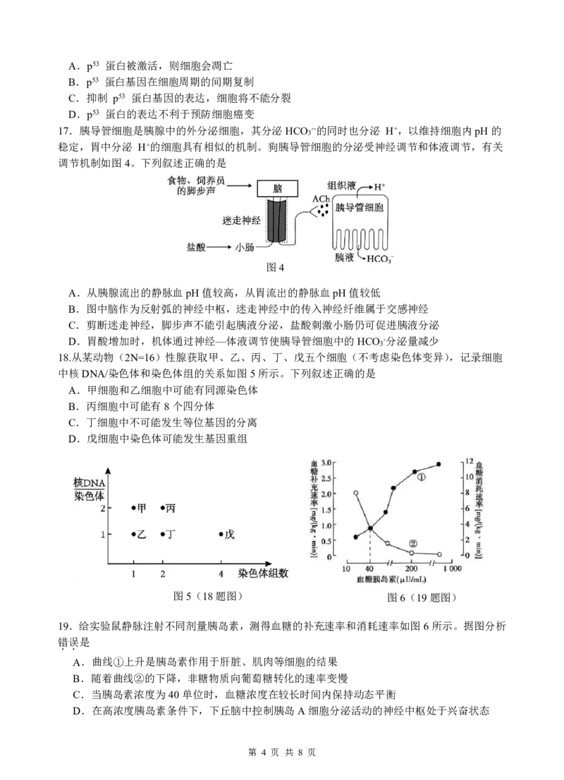 高二生物期中考试题打印_251222广东省汕头市金山中学2025-2026学年高二上学期期中考试（全）