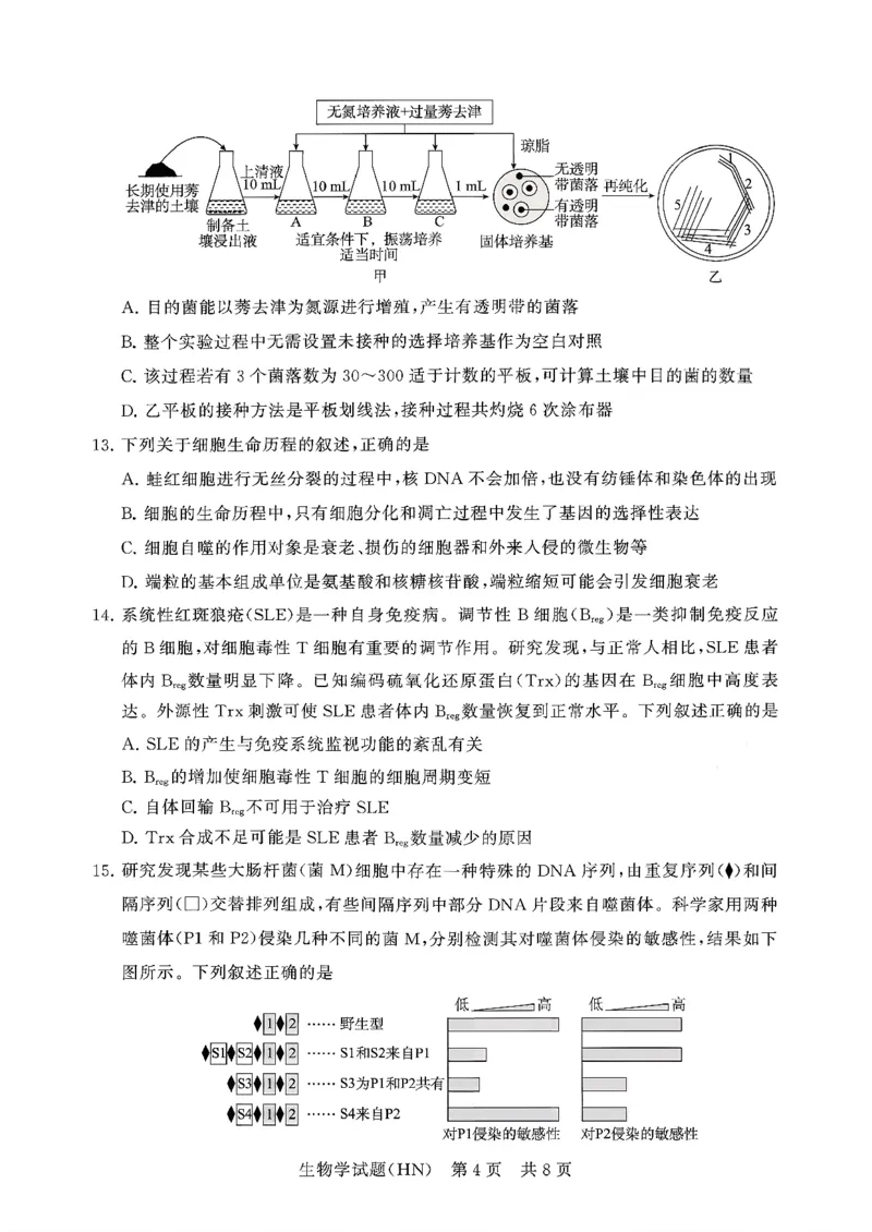T8联考2026届高三年级12月检测训练生物(河南)_2024-2026高三（6-6月题库）_2025年12月高三试卷_251227（河南、河北、湖南、湖北、山西省）T8联考2026届高三年级12月检测训练（全）