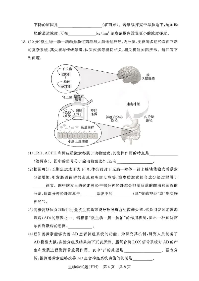 T8联考2026届高三年级12月检测训练生物(河南)_2024-2026高三（6-6月题库）_2025年12月高三试卷_251227（河南、河北、湖南、湖北、山西省）T8联考2026届高三年级12月检测训练（全）