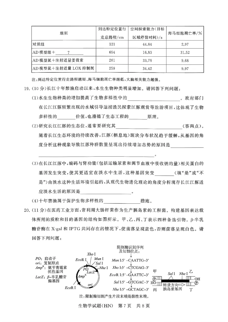 T8联考2026届高三年级12月检测训练生物(河南)_2024-2026高三（6-6月题库）_2025年12月高三试卷_251227（河南、河北、湖南、湖北、山西省）T8联考2026届高三年级12月检测训练（全）