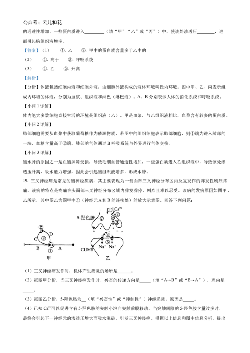 贵州省黔东南苗族侗族自治州2024-2025学年高二上学期11月期中考试生物试题Word版含解析_2024-2025高二（7-7月题库）_2024年12月试卷