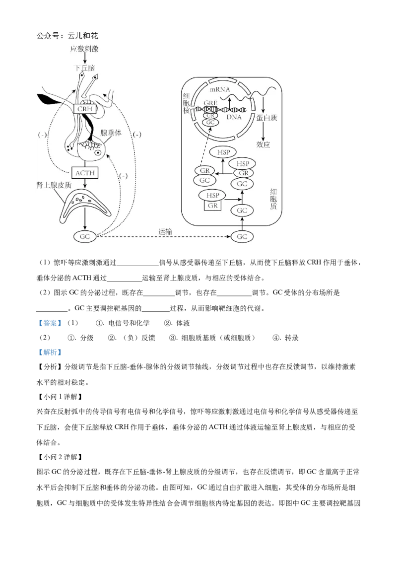 贵州省黔东南苗族侗族自治州2024-2025学年高二上学期11月期中考试生物试题Word版含解析_2024-2025高二（7-7月题库）_2024年12月试卷