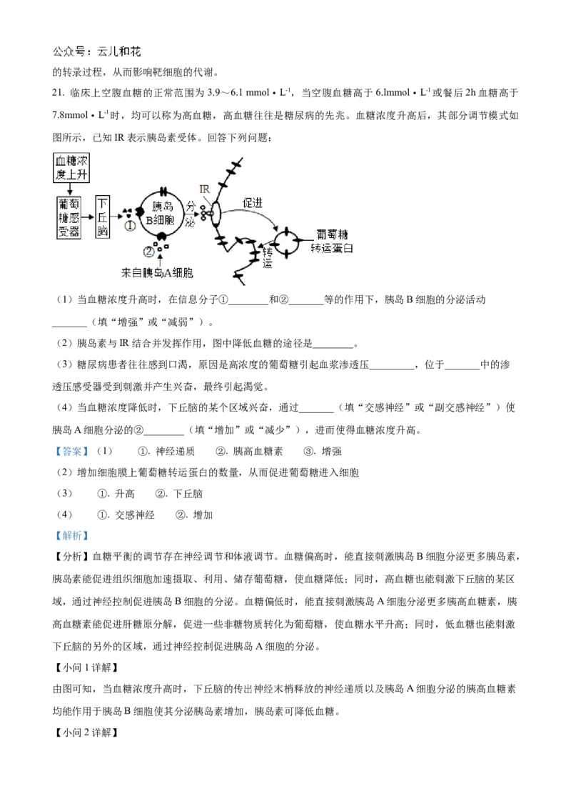 贵州省黔东南苗族侗族自治州2024-2025学年高二上学期11月期中考试生物试题Word版含解析_2024-2025高二（7-7月题库）_2024年12月试卷