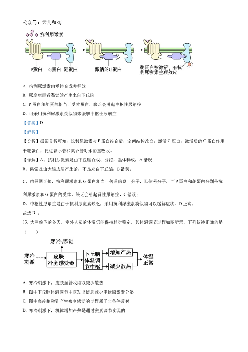 贵州省黔东南苗族侗族自治州2024-2025学年高二上学期11月期中考试生物试题Word版含解析_2024-2025高二（7-7月题库）_2024年12月试卷