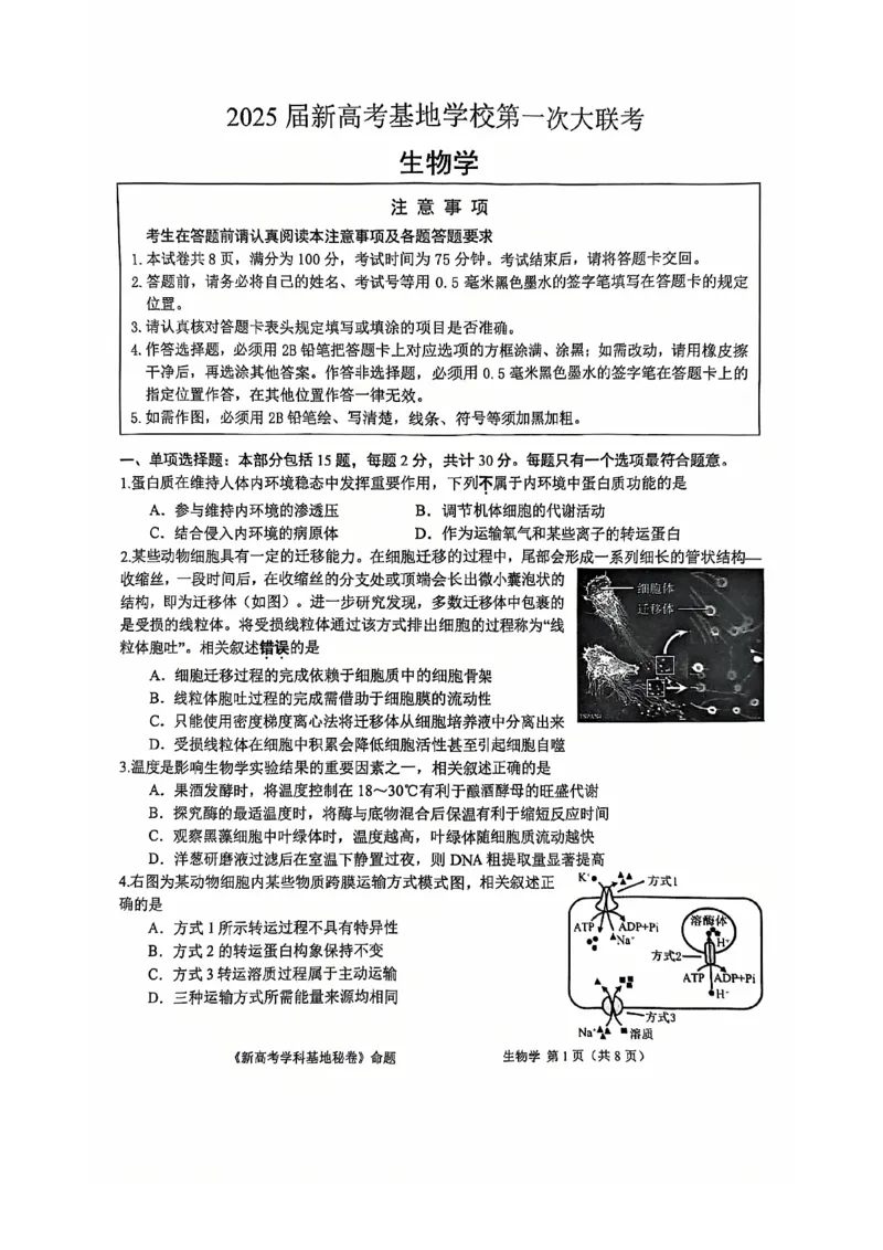 生物试题+答案2025届新高考基地学校第一次大联考_2024-2025高三（6-6月题库）_2024年12月试卷_1225江苏省新高考基地学校2024-2025学年高三上学期12月第一次大联考（全科）_生物