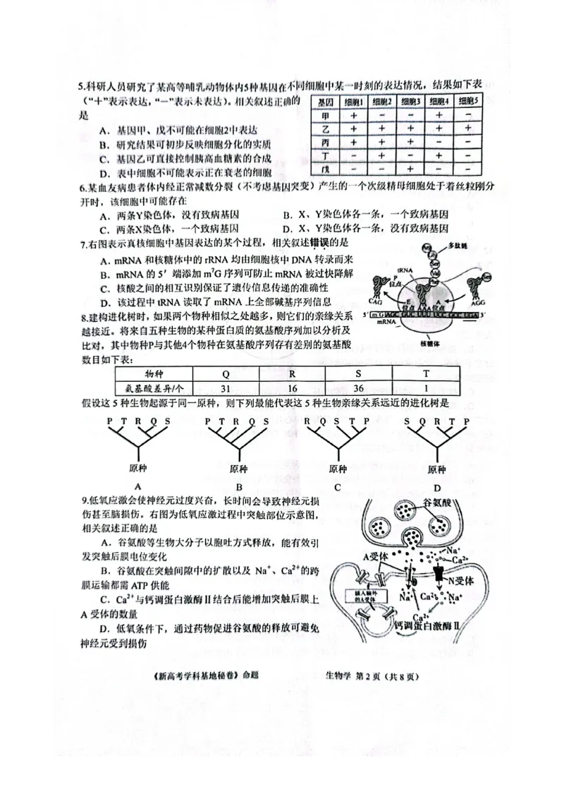生物试题+答案2025届新高考基地学校第一次大联考_2024-2025高三（6-6月题库）_2024年12月试卷_1225江苏省新高考基地学校2024-2025学年高三上学期12月第一次大联考（全科）_生物