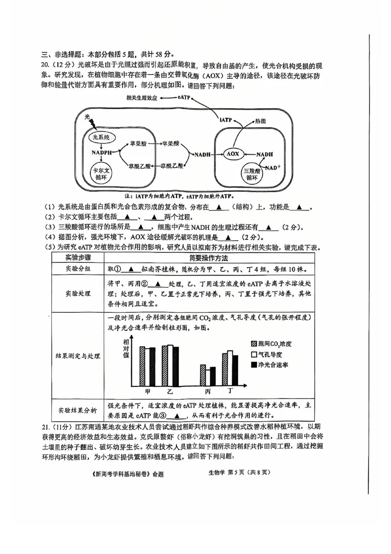 生物试题+答案2025届新高考基地学校第一次大联考_2024-2025高三（6-6月题库）_2024年12月试卷_1225江苏省新高考基地学校2024-2025学年高三上学期12月第一次大联考（全科）_生物