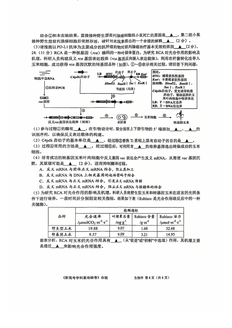 生物试题+答案2025届新高考基地学校第一次大联考_2024-2025高三（6-6月题库）_2024年12月试卷_1225江苏省新高考基地学校2024-2025学年高三上学期12月第一次大联考（全科）_生物