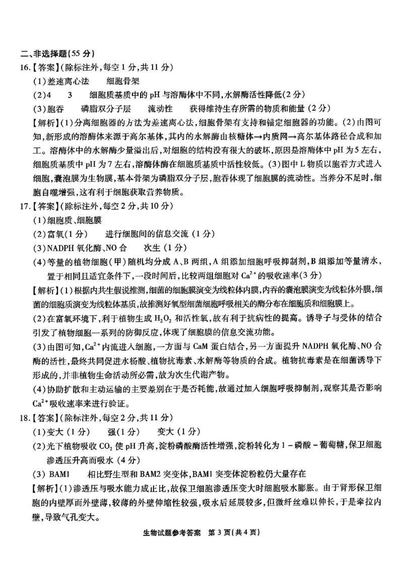 重庆市南开中学校2024-2025学年高三上学期第一次质量检测生物答案_2024-2025高三（6-6月题库）_2024年09月试卷_0910重庆市南开中学校2024-2025学年高三上学期第一次质量检测