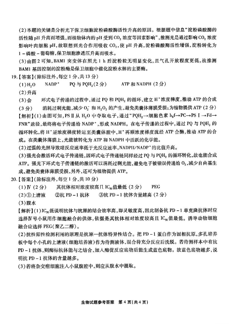 重庆市南开中学校2024-2025学年高三上学期第一次质量检测生物答案_2024-2025高三（6-6月题库）_2024年09月试卷_0910重庆市南开中学校2024-2025学年高三上学期第一次质量检测