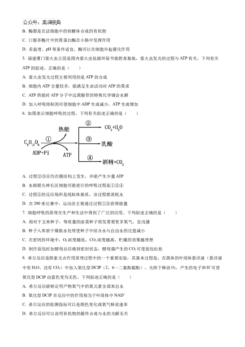 福建省百校联考2024-2025学年高三上学期10月测评生物Word版含答案_2024-2025高三（6-6月题库）_2024年10月试卷_1015福建省百校联考2024-2025学年高三上学期10月测评