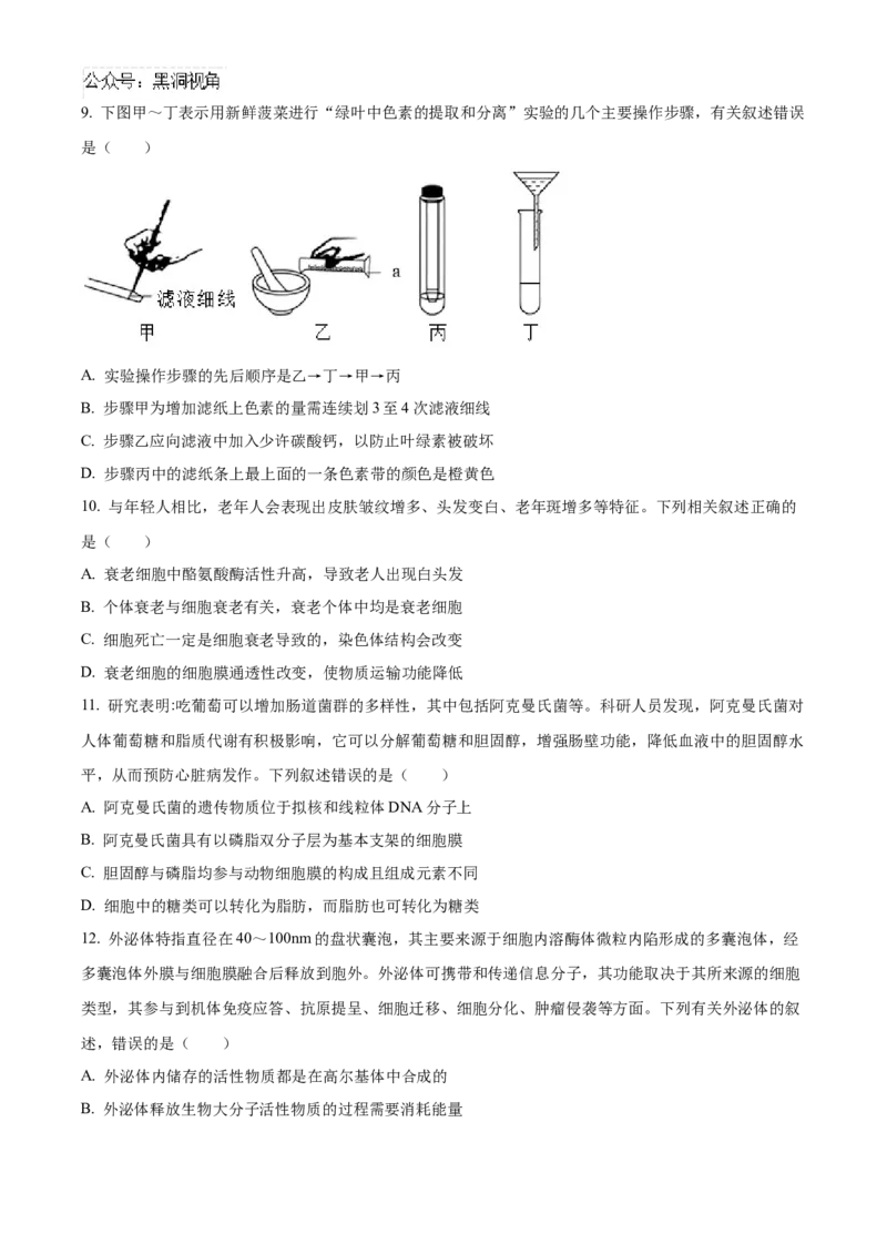福建省百校联考2024-2025学年高三上学期10月测评生物Word版含答案_2024-2025高三（6-6月题库）_2024年10月试卷_1015福建省百校联考2024-2025学年高三上学期10月测评