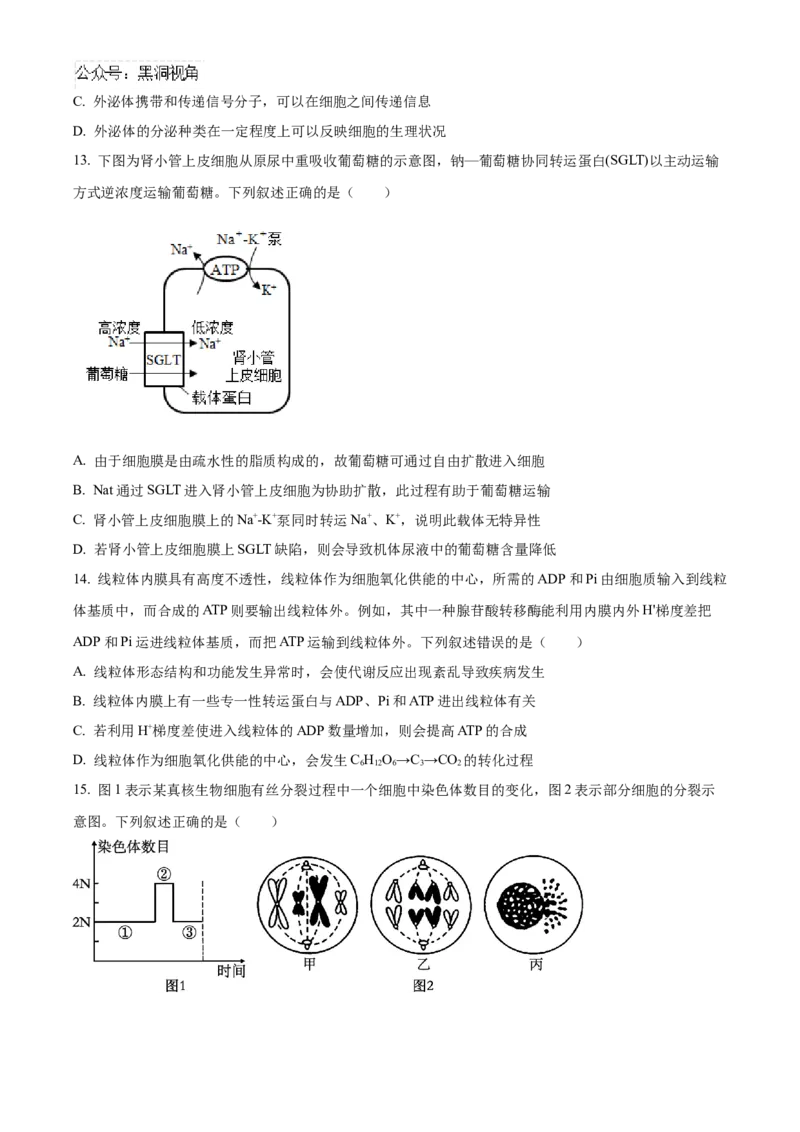 福建省百校联考2024-2025学年高三上学期10月测评生物Word版含答案_2024-2025高三（6-6月题库）_2024年10月试卷_1015福建省百校联考2024-2025学年高三上学期10月测评