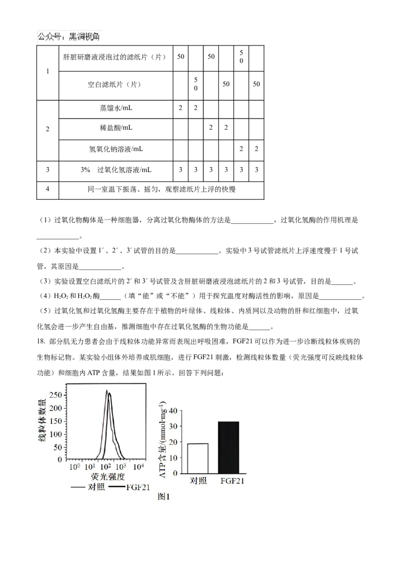 福建省百校联考2024-2025学年高三上学期10月测评生物Word版含答案_2024-2025高三（6-6月题库）_2024年10月试卷_1015福建省百校联考2024-2025学年高三上学期10月测评