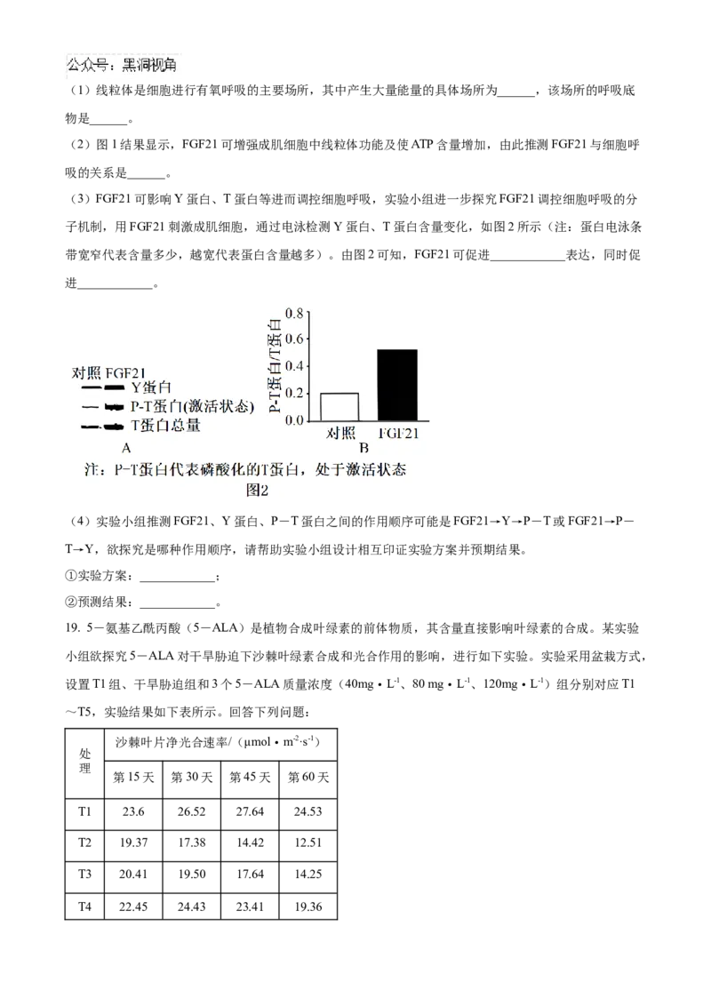 福建省百校联考2024-2025学年高三上学期10月测评生物Word版含答案_2024-2025高三（6-6月题库）_2024年10月试卷_1015福建省百校联考2024-2025学年高三上学期10月测评