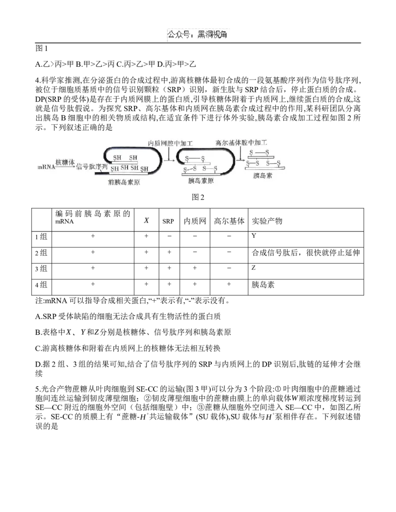 重庆市沙坪坝区重庆市第八中学校2024-2025学年高三上学期9月开学考试生物试题_2024-2025高三（6-6月题库）_2024年09月试卷_0930重庆市第八中学2025届高考适应性月考卷(一)