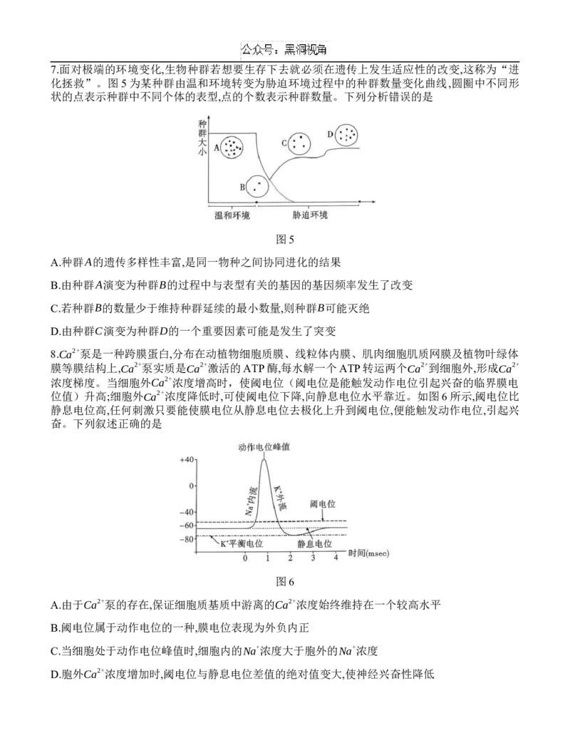 重庆市沙坪坝区重庆市第八中学校2024-2025学年高三上学期9月开学考试生物试题_2024-2025高三（6-6月题库）_2024年09月试卷_0930重庆市第八中学2025届高考适应性月考卷(一)