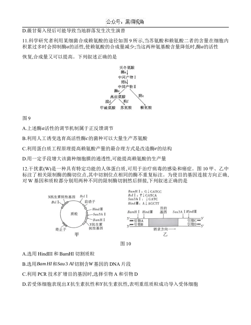 重庆市沙坪坝区重庆市第八中学校2024-2025学年高三上学期9月开学考试生物试题_2024-2025高三（6-6月题库）_2024年09月试卷_0930重庆市第八中学2025届高考适应性月考卷(一)