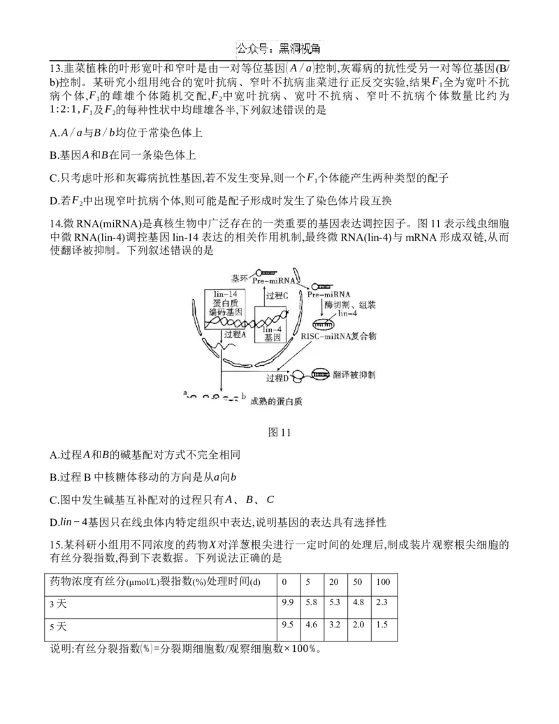 重庆市沙坪坝区重庆市第八中学校2024-2025学年高三上学期9月开学考试生物试题_2024-2025高三（6-6月题库）_2024年09月试卷_0930重庆市第八中学2025届高考适应性月考卷(一)