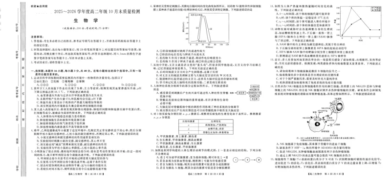 河南省部分重点中学2025-2026学年高二上学期10月末质量检测生物试卷(图片版含解析)_2025年10月高二试卷_251031河南省部分重点中学2025-2026学年高二上学期10月末质量检测（全）