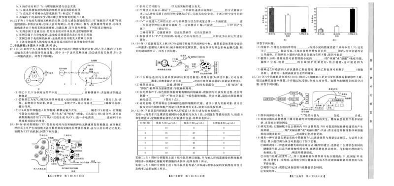 河南省部分重点中学2025-2026学年高二上学期10月末质量检测生物试卷(图片版含解析)_2025年10月高二试卷_251031河南省部分重点中学2025-2026学年高二上学期10月末质量检测（全）