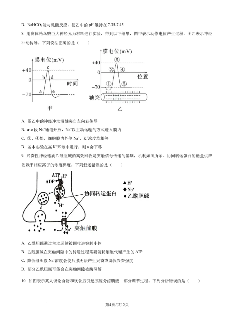 精品解析：天津市静海区第一中学2025-2026学年高二上学期12月月考生物试题（原卷版）_2024-2025高二（7-7月题库）_2026年1月高二_260109天津市静海区第一中学2025-2026学年高二上学期12月月考