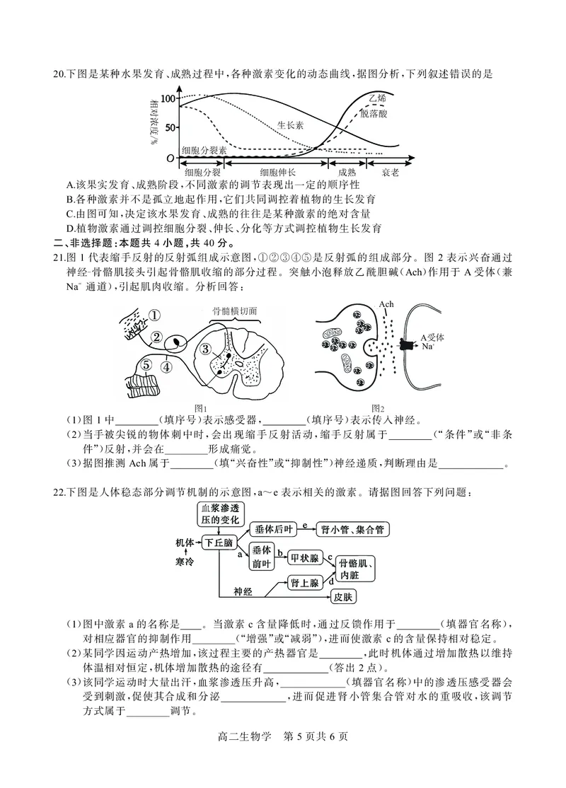 贵州省名校协作体2024-2025学年高二上学期12月联考（一）生物试题_2024-2025高二（7-7月题库）_2024年12月试卷_1209贵州省名校协作体2024-2025学年高二上学期联考（一）（12月）