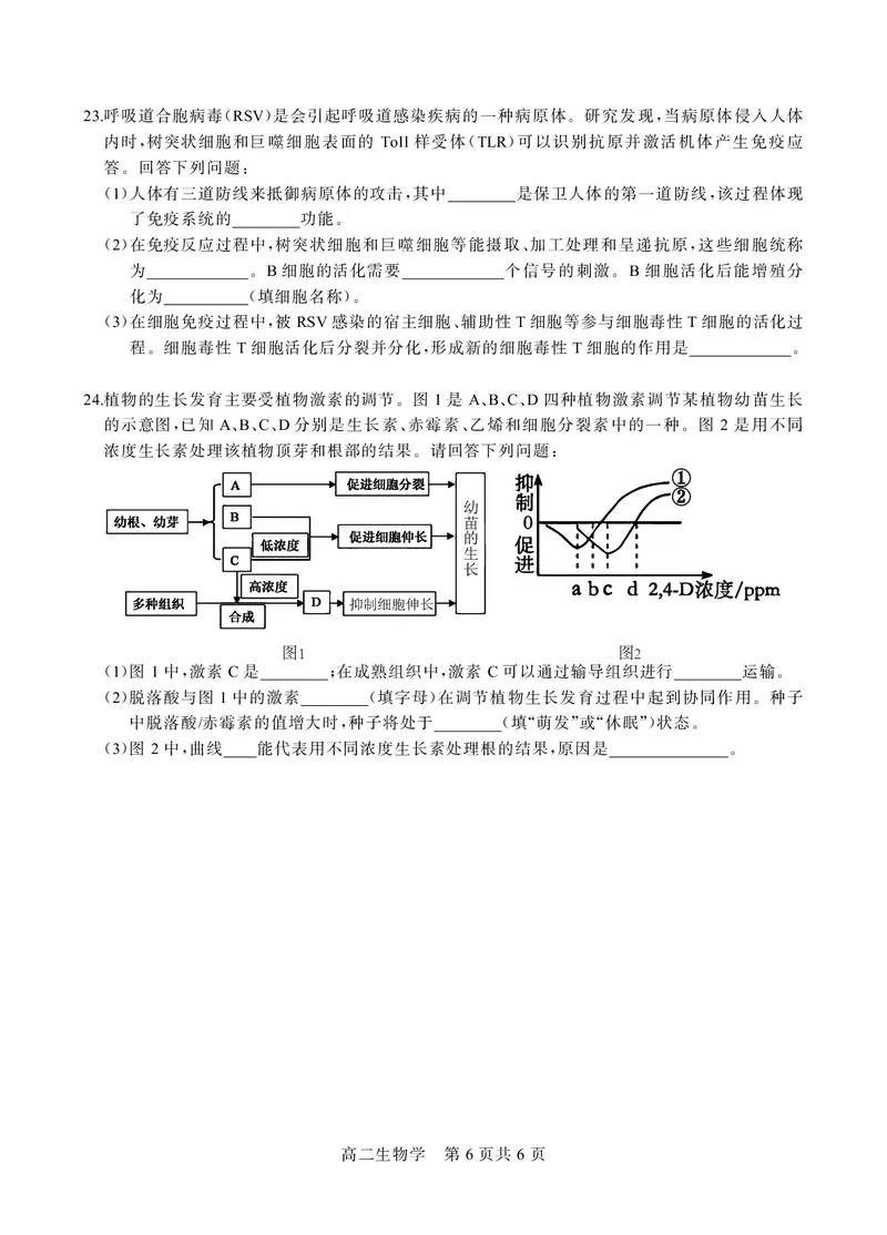 贵州省名校协作体2024-2025学年高二上学期12月联考（一）生物试题_2024-2025高二（7-7月题库）_2024年12月试卷_1209贵州省名校协作体2024-2025学年高二上学期联考（一）（12月）