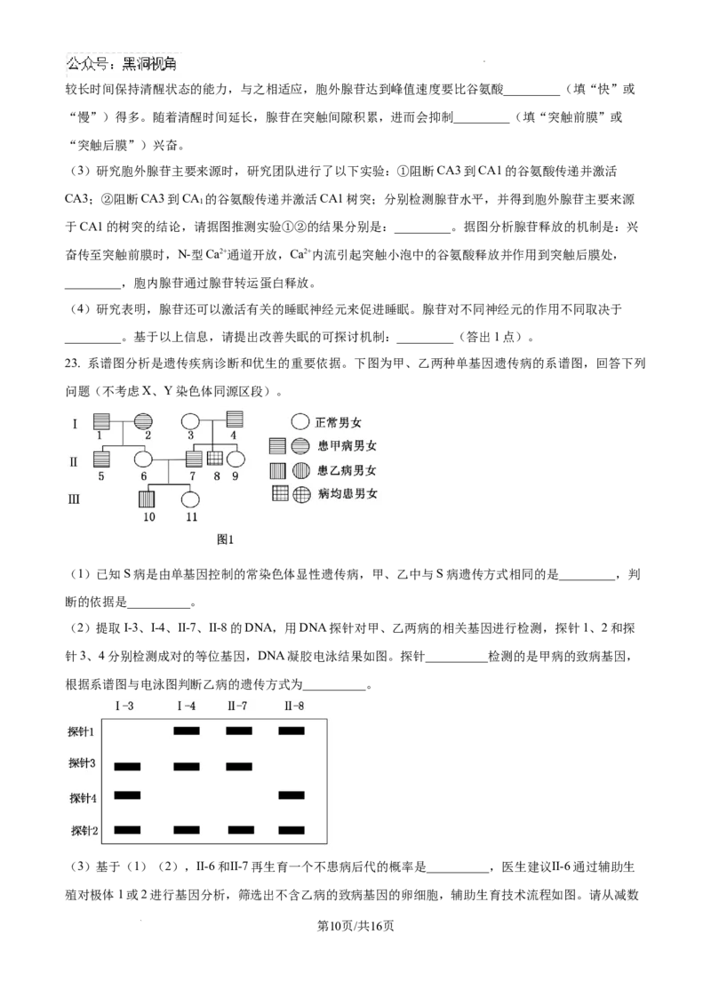 辽宁省三省一区2024-2025学年高三上学期11月第一次质量检测生物试卷+答案_2024-2025高三（6-6月题库）_2024年11月试卷_11252025届东北三省一区名校联盟高三11月第一次模拟