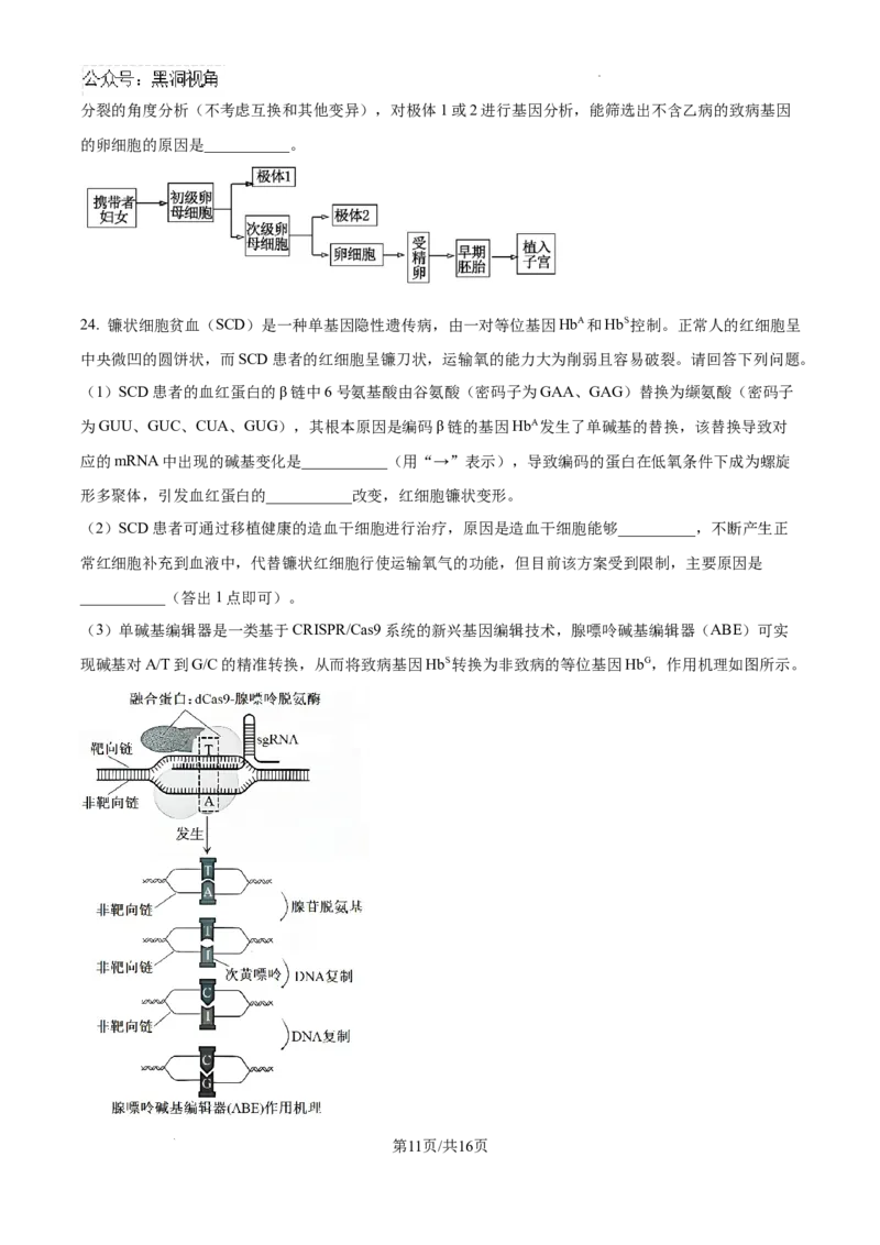 辽宁省三省一区2024-2025学年高三上学期11月第一次质量检测生物试卷+答案_2024-2025高三（6-6月题库）_2024年11月试卷_11252025届东北三省一区名校联盟高三11月第一次模拟