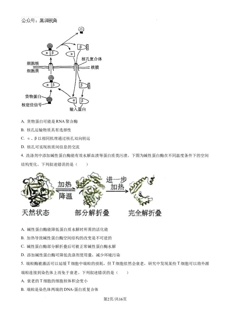 辽宁省三省一区2024-2025学年高三上学期11月第一次质量检测生物试卷+答案_2024-2025高三（6-6月题库）_2024年11月试卷_11252025届东北三省一区名校联盟高三11月第一次模拟