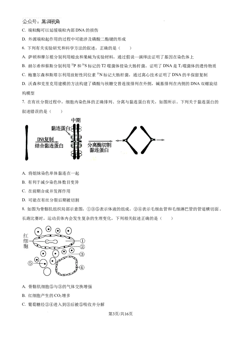 辽宁省三省一区2024-2025学年高三上学期11月第一次质量检测生物试卷+答案_2024-2025高三（6-6月题库）_2024年11月试卷_11252025届东北三省一区名校联盟高三11月第一次模拟