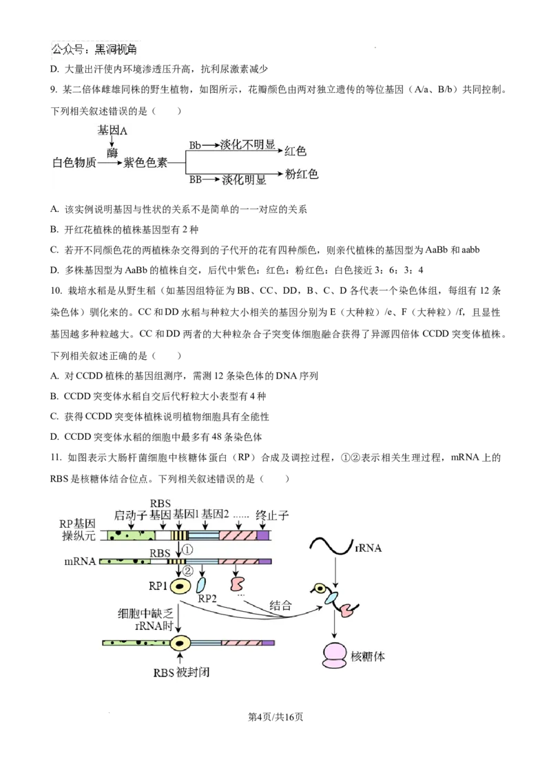 辽宁省三省一区2024-2025学年高三上学期11月第一次质量检测生物试卷+答案_2024-2025高三（6-6月题库）_2024年11月试卷_11252025届东北三省一区名校联盟高三11月第一次模拟