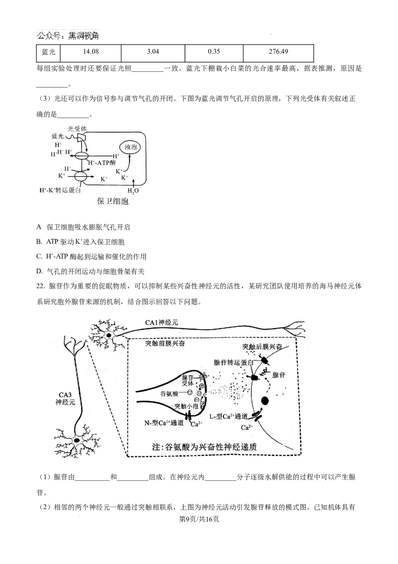 辽宁省三省一区2024-2025学年高三上学期11月第一次质量检测生物试卷+答案_2024-2025高三（6-6月题库）_2024年11月试卷_11252025届东北三省一区名校联盟高三11月第一次模拟