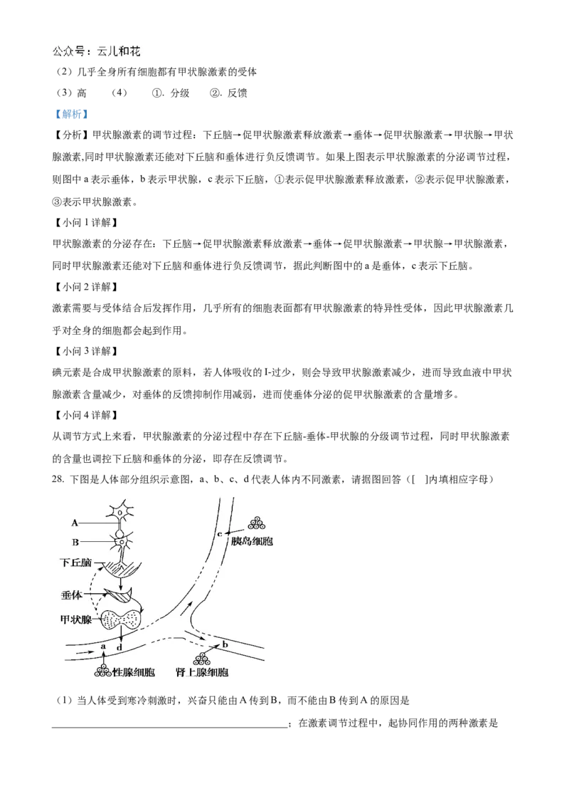 甘肃省武威市凉州区2024-2025学年高二上学期期中质量检测生物试卷Word版含解析_2024-2025高二（7-7月题库）_2024年12月试卷_1204甘肃省武威市凉州区2024-2025学年高二上学期期中质量检测