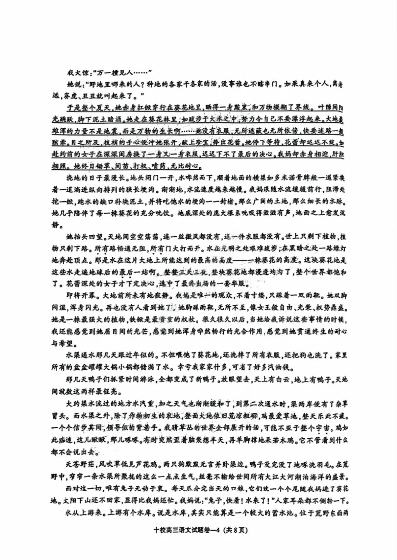 语文试卷_2024-2025高三（6-6月题库）_2024年11月试卷_1115浙江省金华市2024-2025学年高三上学期一模(金华十校)_浙江省金华十校2024-2025学年高三上学期11月模拟考试语文试题