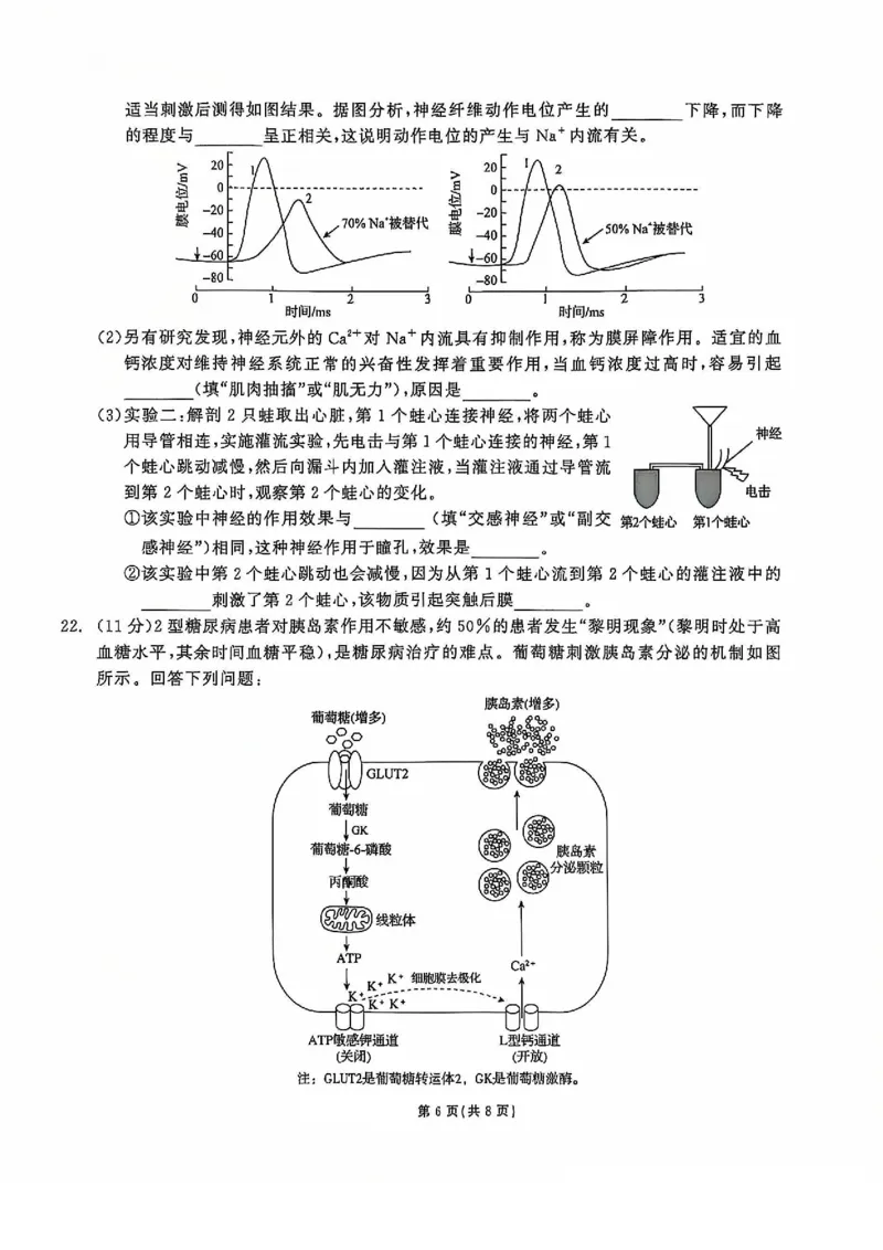 生物试题_2024-2025高二（7-7月题库）_2024年12月试卷_1212点石联考东三省2024-2025学年高二上学期12月联考调研测试_东三省2024-2025学年高二上学期12月联考调研测试生物试题