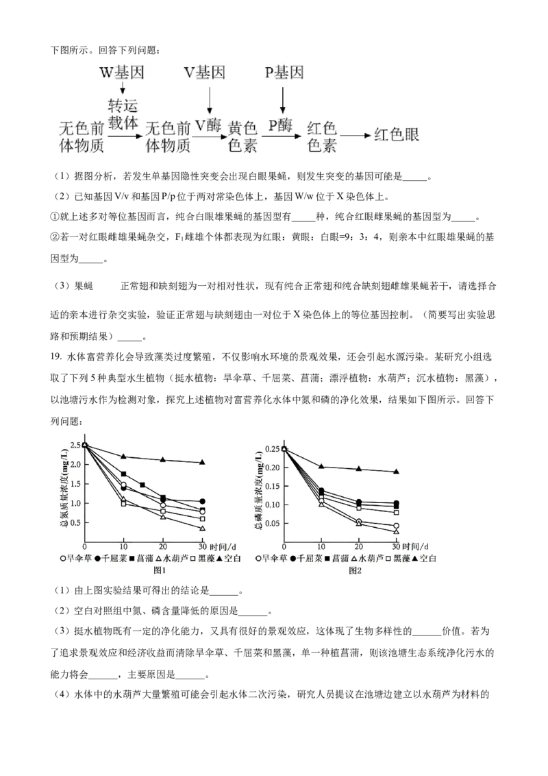 陕西省十七校联考2024-2025学年高三上学期11月期中生物试题Word版无答案_2024-2025高三（6-6月题库）_2024年11月试卷_1129陕西省十七校联考2024-2025学年高三上学期11月期中考试