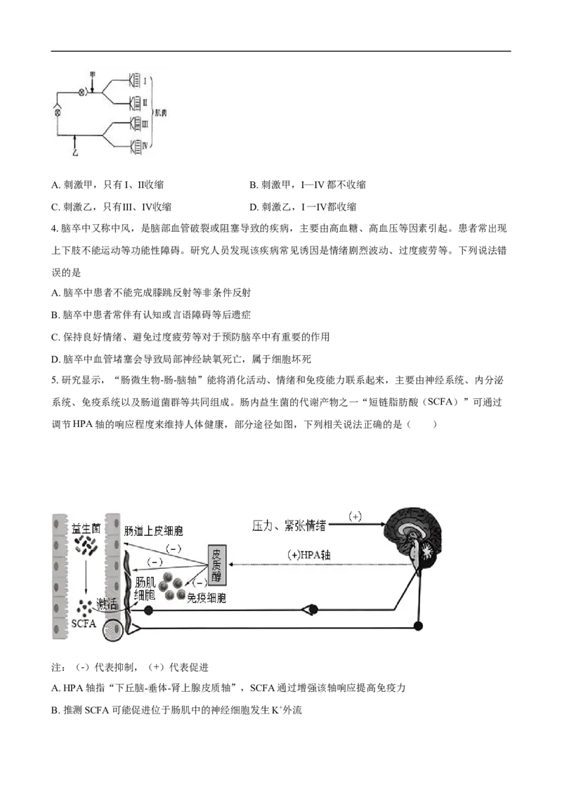 望城二中高二期中考试生物试卷-学生用卷_2025年11月高二试卷_251111湖南省长沙市望城区长沙市望城区第二中学2025-2026学年高二上学期11月期中