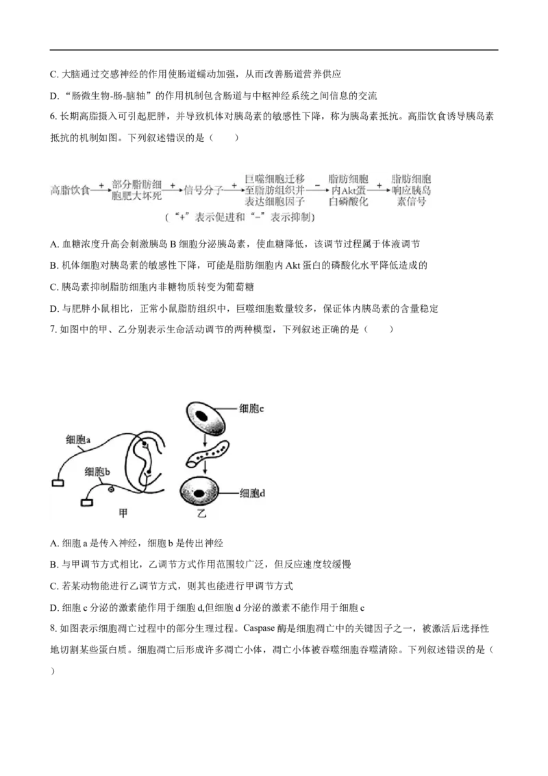 望城二中高二期中考试生物试卷-学生用卷_2025年11月高二试卷_251111湖南省长沙市望城区长沙市望城区第二中学2025-2026学年高二上学期11月期中