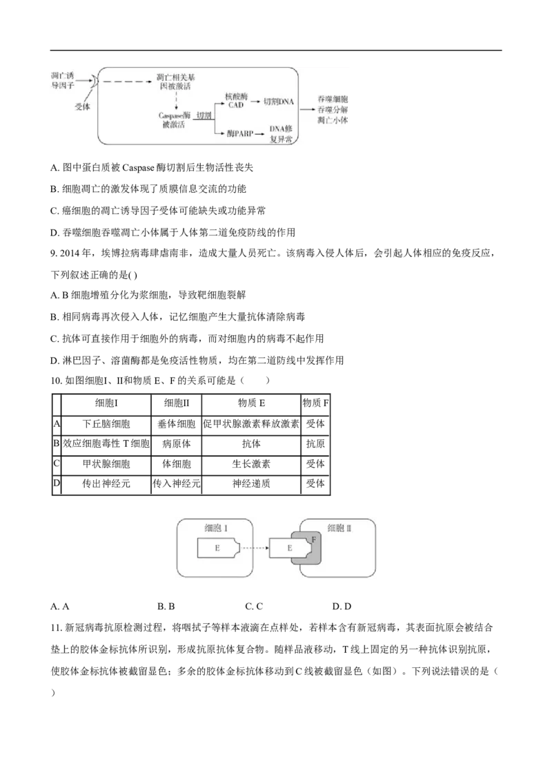 望城二中高二期中考试生物试卷-学生用卷_2025年11月高二试卷_251111湖南省长沙市望城区长沙市望城区第二中学2025-2026学年高二上学期11月期中
