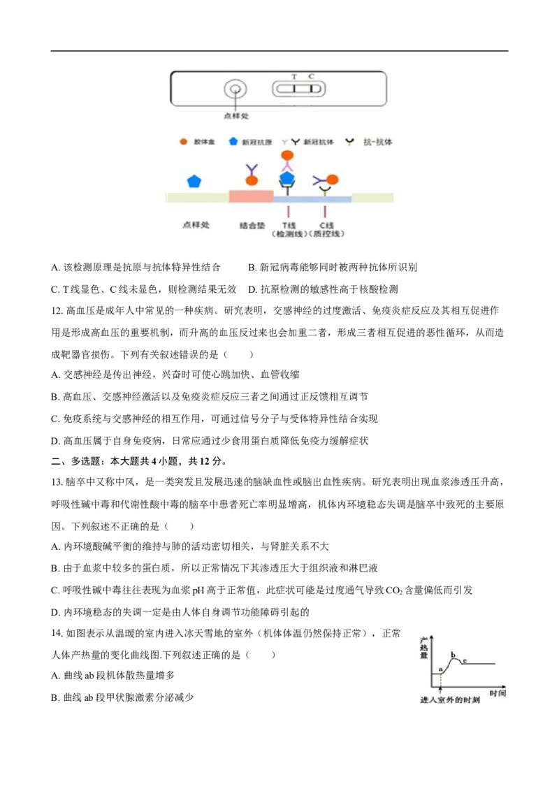 望城二中高二期中考试生物试卷-学生用卷_2025年11月高二试卷_251111湖南省长沙市望城区长沙市望城区第二中学2025-2026学年高二上学期11月期中